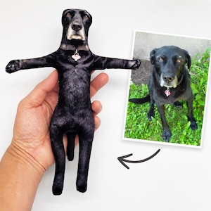 May include: A custom plush toy shaped like a black dog with a printed fur pattern, wearing a dark collar with a pink heart-shaped tag. The toy is displayed alongside a photograph of the actual black dog that served as the reference for the design.