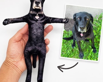 Custom Pet Portrait Plush Gift,Custom Pet Hanging Ornament,Custom Pet keychain,Pet Pillow Toy,Photo Keychain,Custom Stuffed Animal Doll