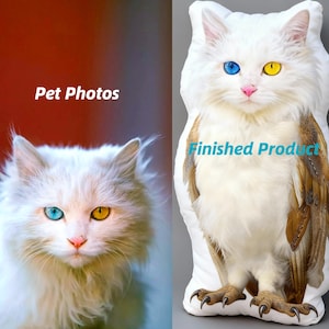 May include: A white cat with blue and yellow eyes is featured in a photo next to a pillow with a cat-owl hybrid design. The pillow has a white body, brown wings, and clawed feet. The text "Pet Photos" and "Finished Product" are visible.