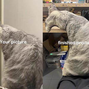May include: A custom-shaped throw pillow featuring a high-resolution photographic print of a grey cat yawning. The pillow is die-cut to match the silhouette of the cat in the image, with the text Your picture on the left and finished product on the right.