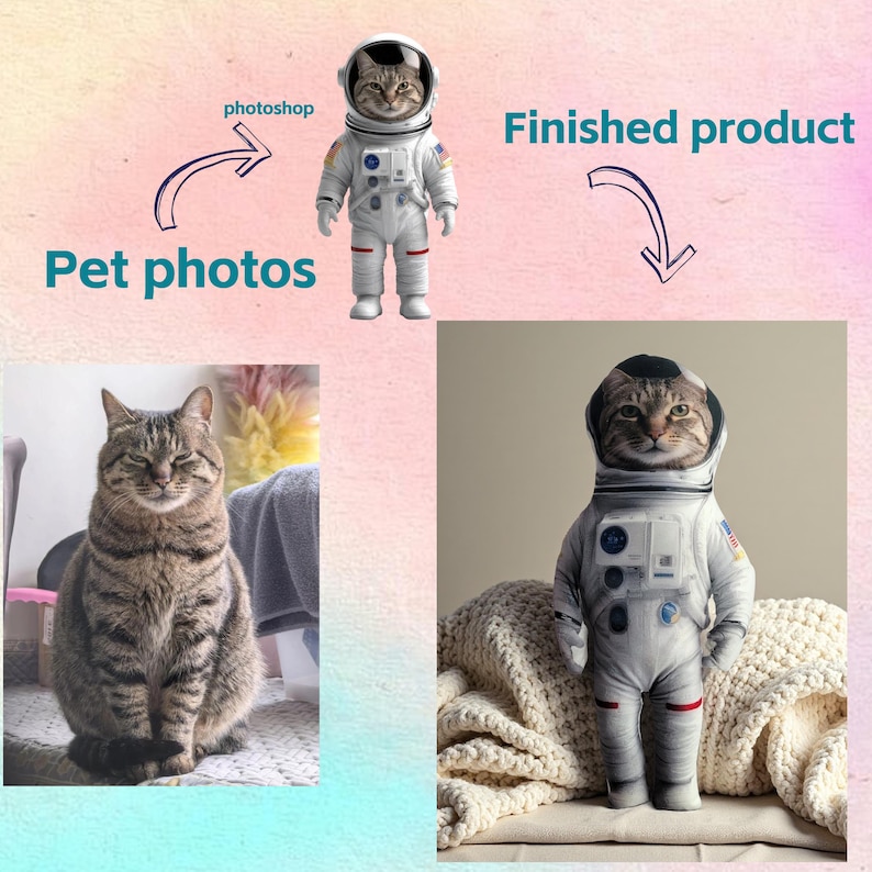 May include: Image showing a tabby cat in an astronaut suit. The image is split, with the left side showing the original cat photo and the right side showing the finished product. Text reads "Pet photos" and "Finished product".