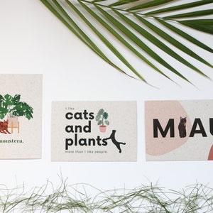Cartes postales en papier d'herbe pour les amoureux des chats et des plantes. Carte de vœux durable avec chat et plante comme décoration pour la maison.