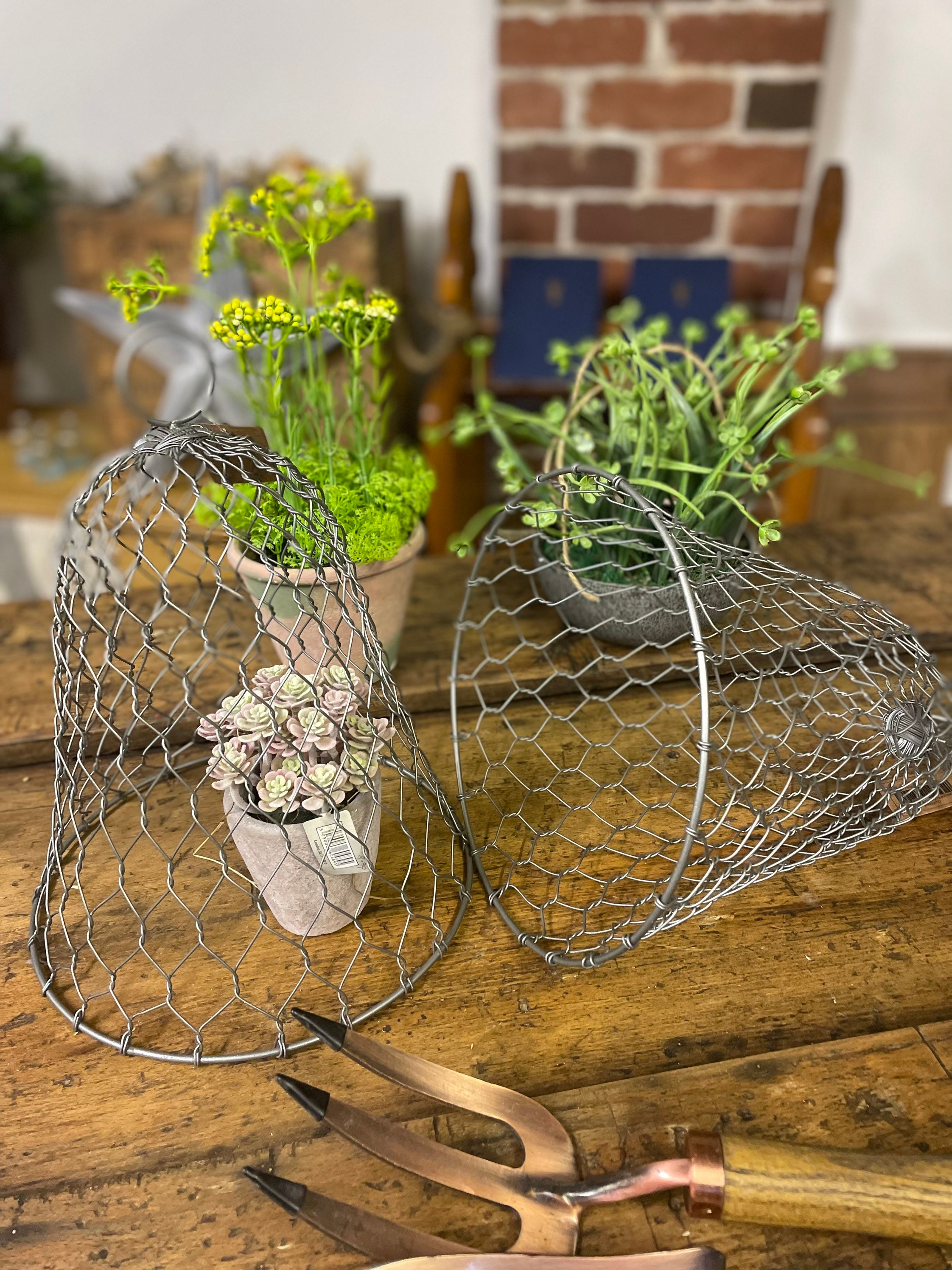 Chicken wire frame michaels deals