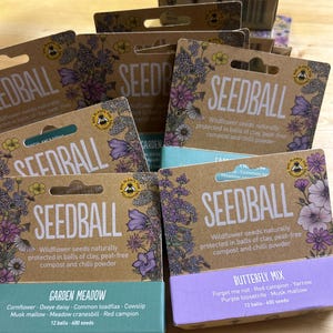 Bolas de semillas de flores silvestres Seedball para huertos familiares o para regalar