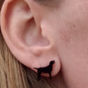 May include: A pair of black stud earrings featuring a silhouette of a dog.