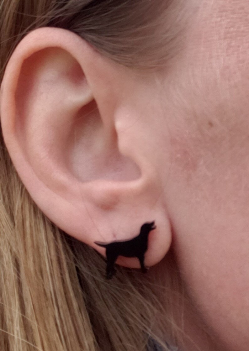 May include: A pair of black stud earrings featuring a silhouette of a dog.