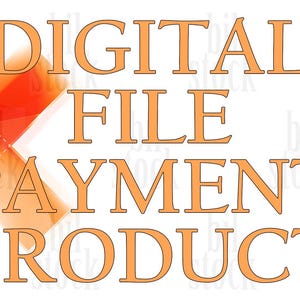 Puede incluir: Imagen con las palabras "DIGITAL FILE PAYMENT PRODUCT" en naranja sobre un fondo blanco. Formas geométricas en naranja, turquesa y gris en el fondo.