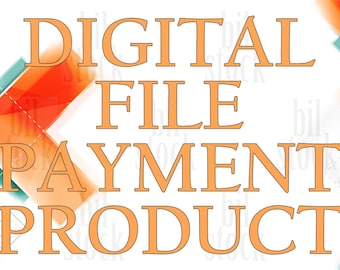 Digital File Payment (Digital Print)