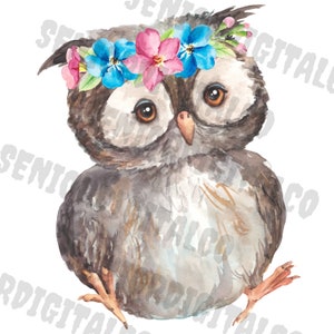 Owl Png,aquarelle owl sublimation,colored bird design,farm owl clipart,animal sublimation Png,Sublimation Png,Designs Downloads,Png Clipart
