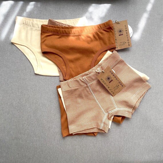 Organic Cotton Kids Underwear Set, Comfortable Kids Briefs, Skin Friendly Soft Underwear Set of 3, Kids Underwear from OEKO-TEX Pure Cotton