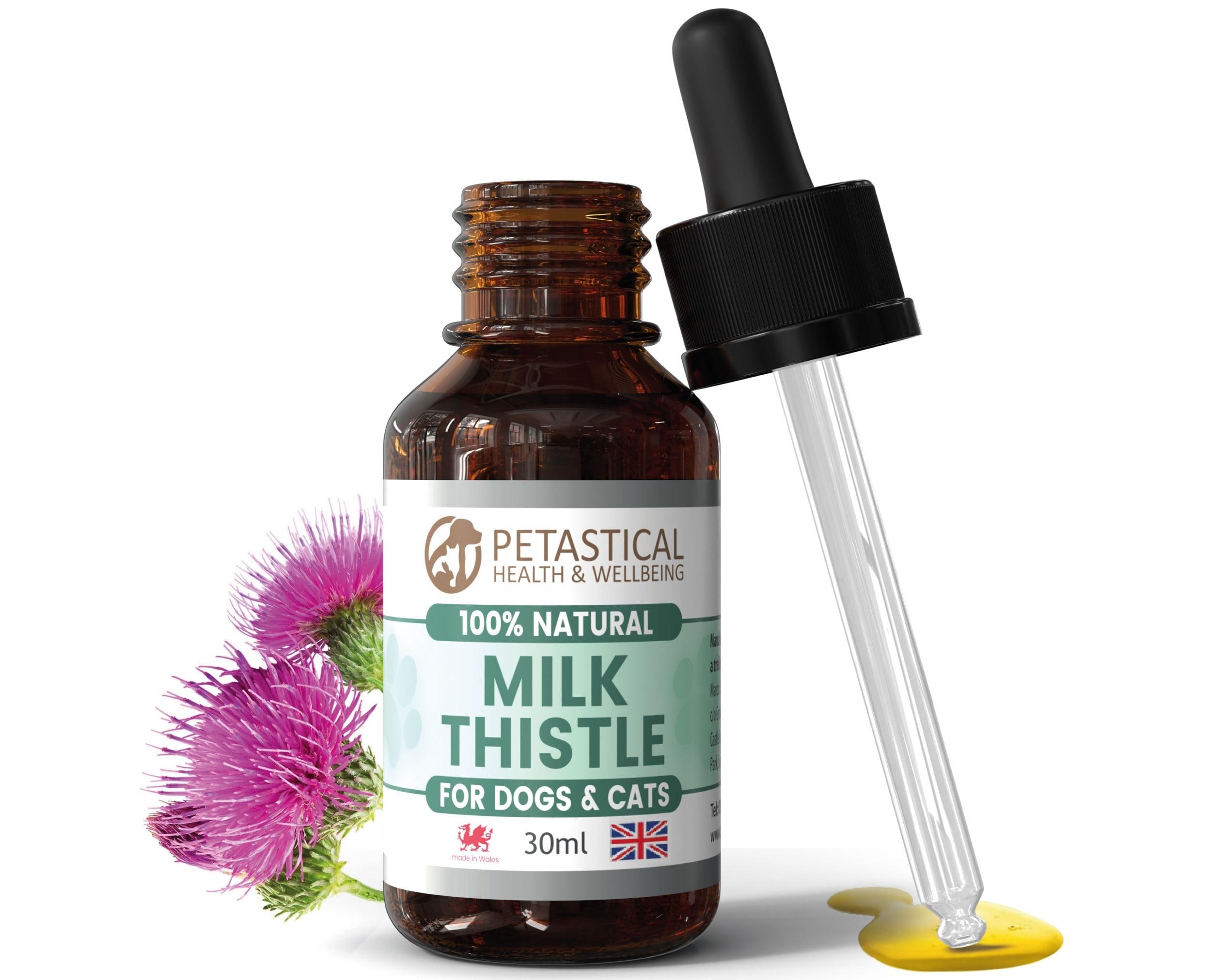 milk thistle and dogs