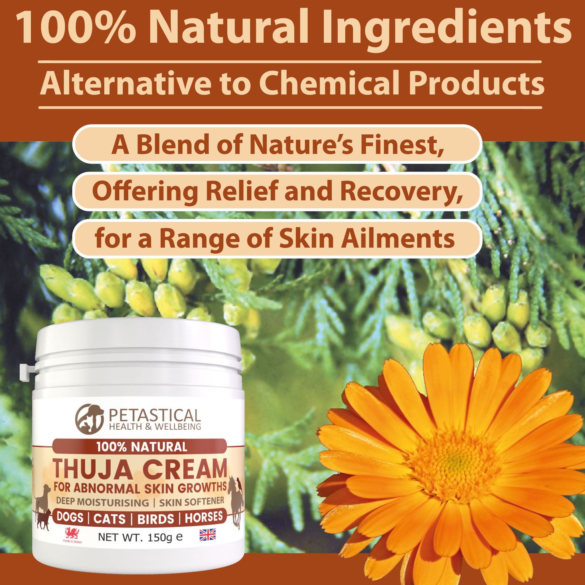 Petastical Thuja Cream for Dogs, Cats, Horse, Birds - A Cream Traditionally  Used for Abnormal Skin Growths, 150g - Etsy