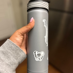 May include: A gray water bottle with a black lid and a black and white sticker of a human pelvis bone on the side.