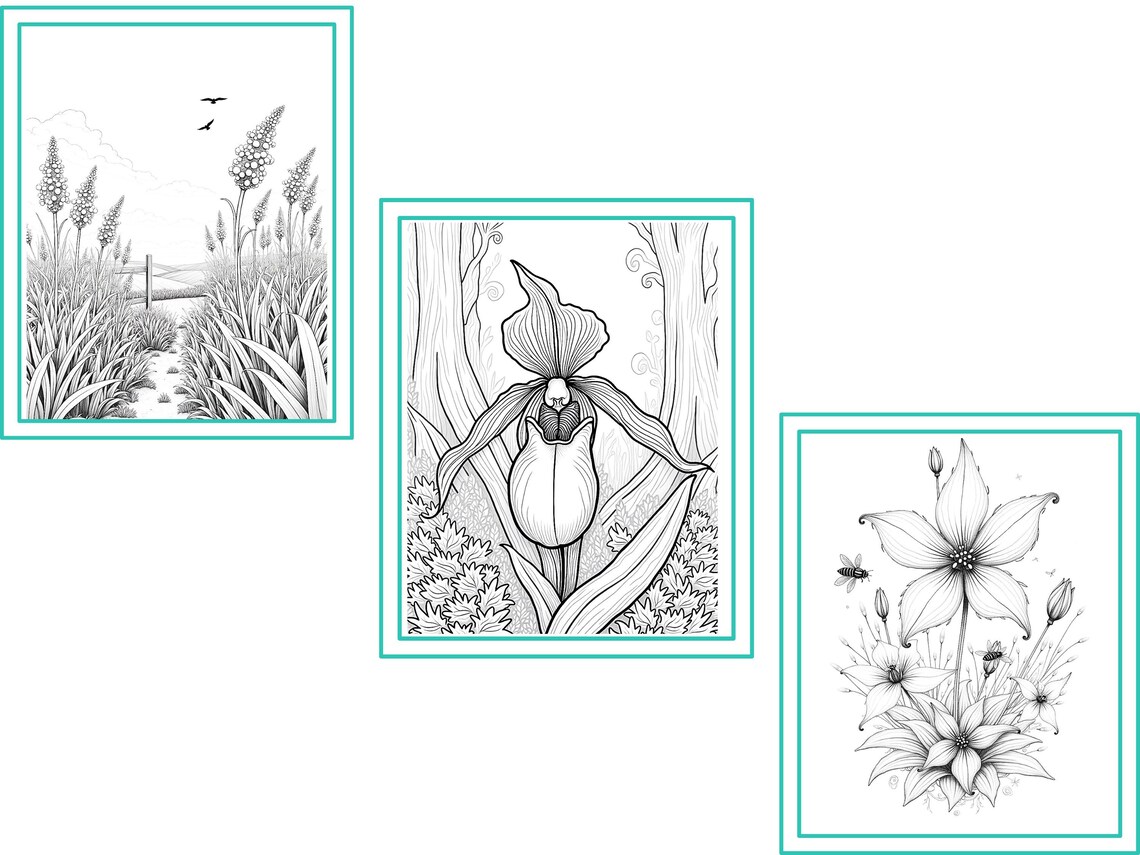Canadian Prairie Flowers Coloring Book – 10-page Printable Adult ...