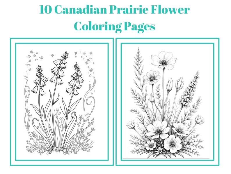 Canadian Prairie Flowers Coloring Book – 10-page Printable Adult ...