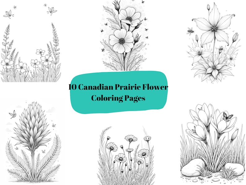 Canadian Prairie Flowers Coloring Book – 10-page Printable Adult ...