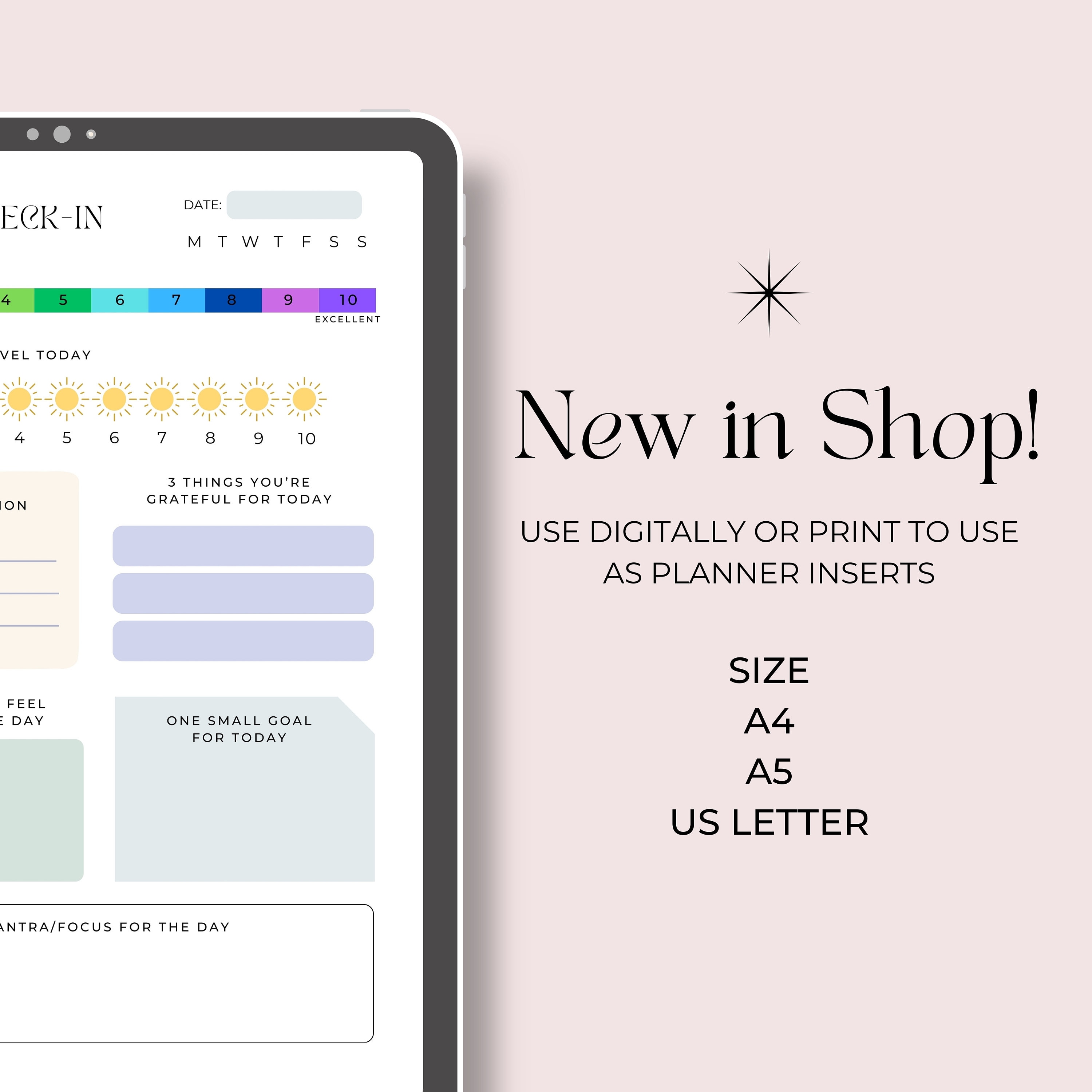 Daily Check In, Morning and Night Check In, Daily Journal, Self-care ...