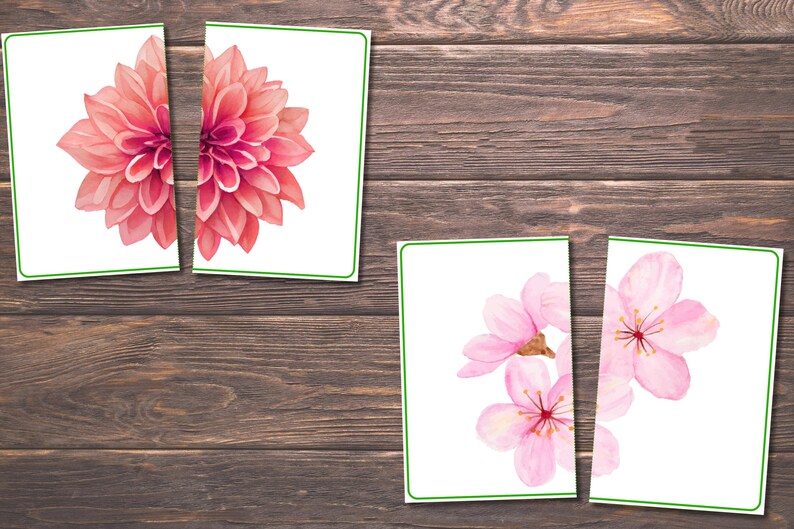 Spring Matching Toddler Activity, Spring Matching, Montessori, Homeschool Resource, Flowers, Spring Animals, Spring Matching Game image 6