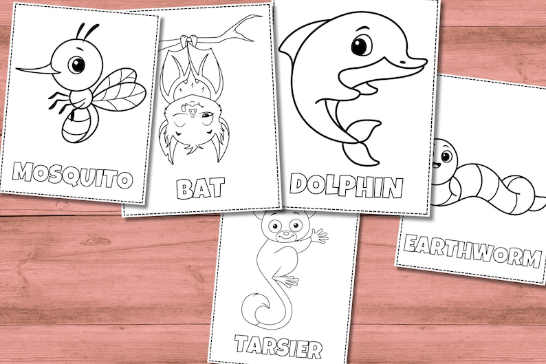 Puede incluir: P&aacute;ginas para colorear en blanco y negro con varios animales, incluyendo un mosquito, un murci&eacute;lago, un delf&iacute;n, una lombriz de tierra y un tarsero. Cada p&aacute;gina incluye el nombre del animal.