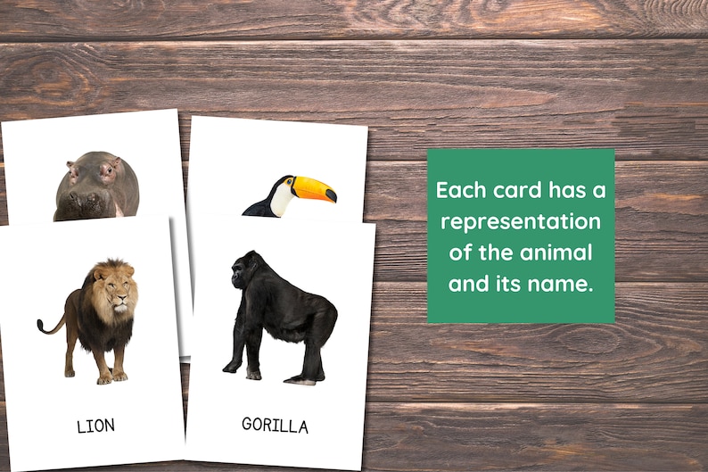 22 Jungle Animals Cards, Jungle Animals Cards for Toddlers, Montessori ...
