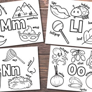 May include: Black and white printable alphabet flash cards featuring illustrations of objects starting with each letter. The letters M, L, N, and O are shown with various objects such as a mushroom, mountain, mask, moon, lips, ladybug, lollipop, leaf, needle, net, notebook, noise, nest, octopus, onion, olive, orange, owl, and oyster.