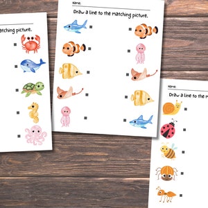 Printable Matching Worksheets, Match the Picture, Kindergarten Preschool Activity, Busybook, Educational Pages zdjęcie 4