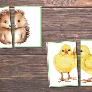 Spring Matching Toddler Activity, Spring Matching, Montessori, Homeschool Resource, Flowers, Spring Animals, Spring Matching Game image 3