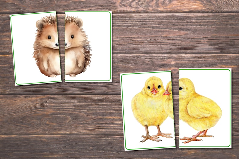 Spring Matching Toddler Activity, Spring Matching, Montessori, Homeschool Resource, Flowers, Spring Animals, Spring Matching Game image 3