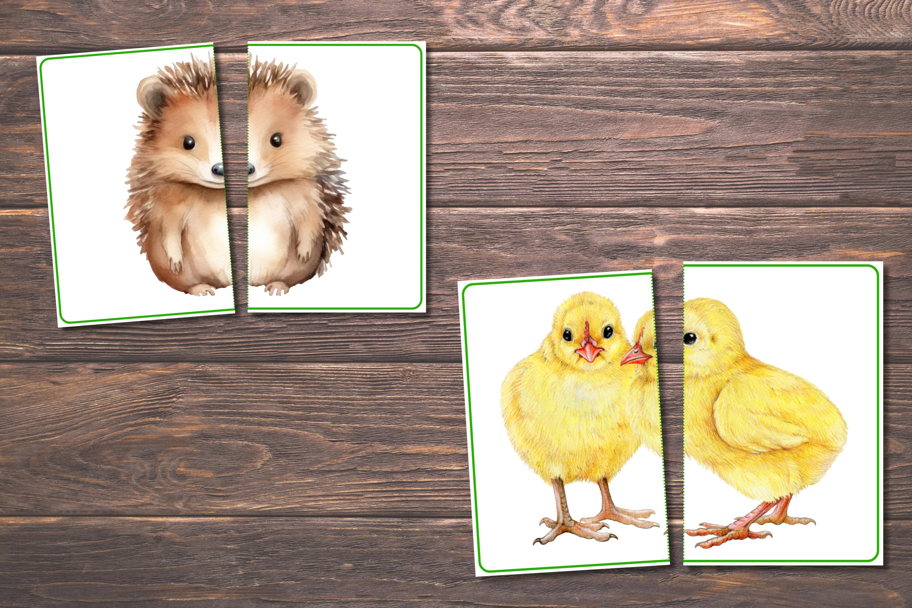 Spring Animals Matching Spring Matching Toddler Activity, Spring Matching, Montessori ...