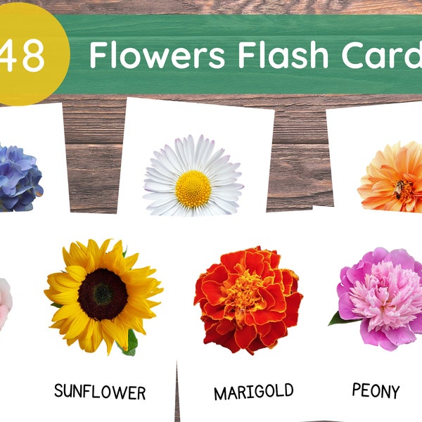 48 Flowers Cards, Flowers Flashcards, Printable Real Pictures Flashcards, Montessori Flashcards, Botanical Flashcards, Instant Download