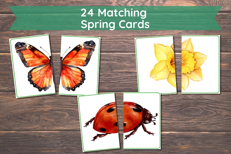 Spring Matching Toddler Activity, Spring Matching, Montessori, Homeschool Resource, Flowers, Spring Animals, Spring Matching Game image 1