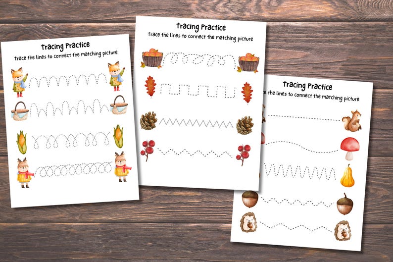 May include: Three white sheets of paper titled Tracing Practice with the subtitle trace the lines to connect the matching picture. Each page features colorful watercolor illustrations of woodland animals, autumn leaves, acorns, and mushrooms.