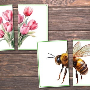 Spring Matching Toddler Activity, Spring Matching, Montessori, Homeschool Resource, Flowers, Spring Animals, Spring Matching Game image 2