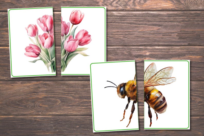 Spring Matching Toddler Activity, Spring Matching, Montessori, Homeschool Resource, Flowers, Spring Animals, Spring Matching Game image 2