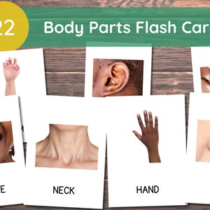 22 cartes de parties du corps, cartes-éclair Montessori, cartes préscolaire, cartes-éclair tout-petit, cartes-éclair de parties du corps, matériel Montessori pour l'école à la maison