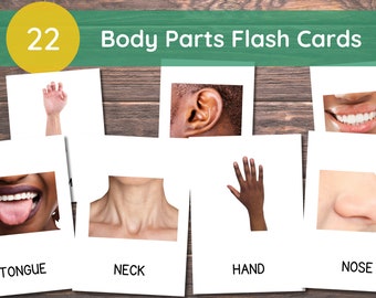 May include: 22 flash cards featuring images of different body parts, including a hand, ear, mouth, tongue, neck, nose, and teeth. Each card has a white background and the name of the body part printed in black at the bottom.