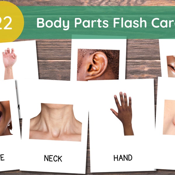 22 Body Parts Cards, Montessori flashcards, Pre-School Cards, Toddler Flash Cards, Body Parts Flashcards, Homeschool Montessori Materials