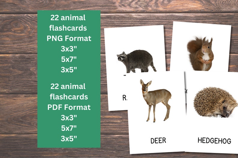 22 Forest Animals Cards, Forest Animals Cards for Toddlers, Montessori ...