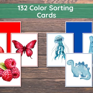 Cartes imprimables Montessori avec tri des couleurs : ensemble d'activités de reconnaissance et de tri de 11 couleurs pour tout-petit, 132 cartes mémoire 10 x 15 cm