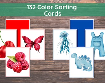Montessori Color Sorting Printable Cards: Toddler's 11-Color Recognition and Sorting Activity Set, 132 Flashcards 4x5"
