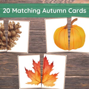 Fall Matching Toddler Activity,Autumn Matching, Montessori, Homeschool Resource, Pumpkins, Acorns, Woodland Creatures