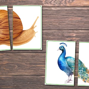 Spring Matching Toddler Activity, Spring Matching, Montessori, Homeschool Resource, Flowers, Spring Animals, Spring Matching Game image 4