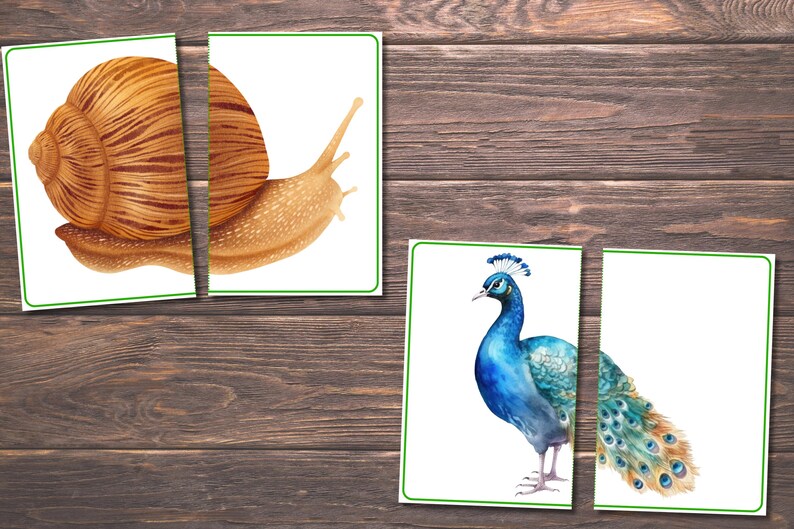 Spring Matching Toddler Activity, Spring Matching, Montessori, Homeschool Resource, Flowers, Spring Animals, Spring Matching Game image 4