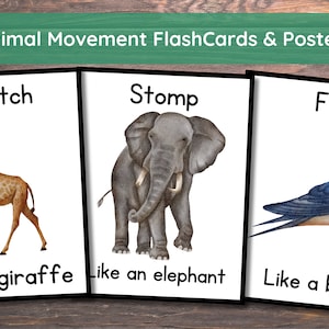 Cartes représentant les déplacements des animaux, Activité de mouvement, Cartes d'action, Temps en cercle, Activité éducative préscolaire à imprimer, Tout-petit, Préscolaire, École à la maison