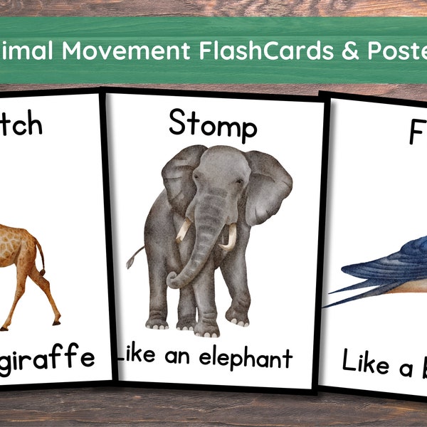 Animal Action Cards - Etsy