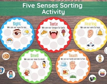 Atividade de classificação dos cinco sentidos, folha de atividades imprimível para classificação dos 5 sentidos, atividade para pré-escola e jardim de infância, caixa sensorial para crianças, atividade para sacolas de atividades.