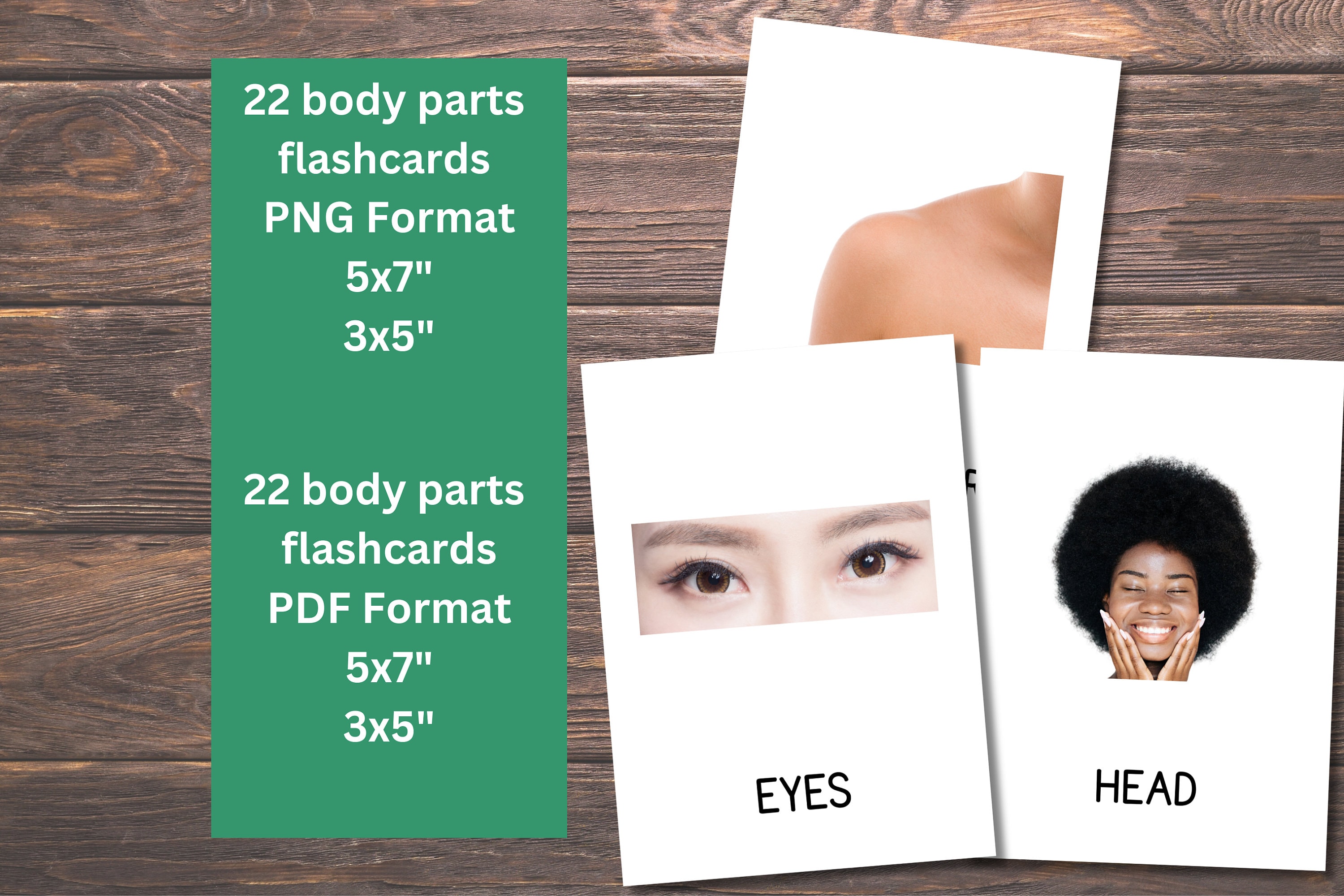 22 Body Parts Cards Montessori Flashcards Pre-school Cards - Etsy