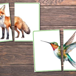 Spring Matching Toddler Activity, Spring Matching, Montessori, Homeschool Resource, Flowers, Spring Animals, Spring Matching Game image 7