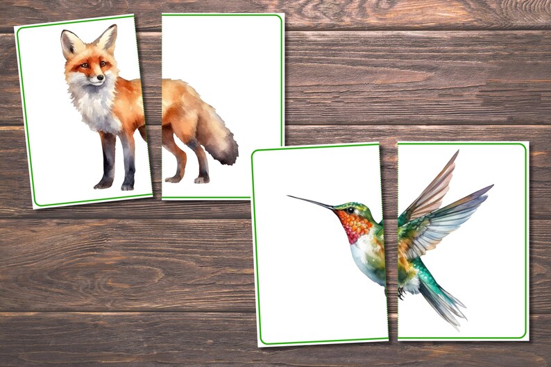 Spring Matching Toddler Activity, Spring Matching, Montessori, Homeschool Resource, Flowers, Spring Animals, Spring Matching Game image 7