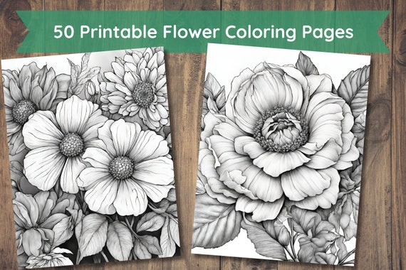 50 Printable Flower Coloring Pages, Coloring Book, Adults + Kids, Grayscale Coloring, Instant Download, Printable, 8.5x11", PDF